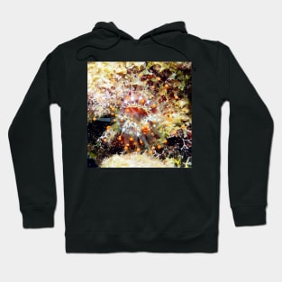 Orange Club Tipped Sea Anemone Hoodie